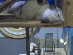 -海合安青岛极地海洋公园