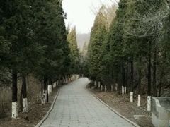 -高尔山公园