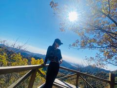 -大岭沟猕猴桃谷风景区