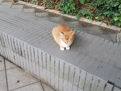 -华南师范大学(广州大学城校区)