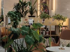 -NOVAE CAFE 咖啡·可颂(望京店)