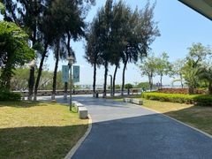 -宝安西湾红树林湿地公园