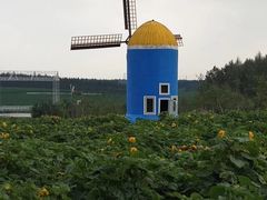 -北纬44度·金珠花海休闲农业旅游景区