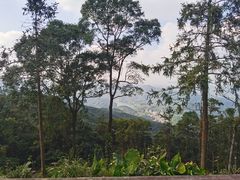 -广州市帽峰山景区