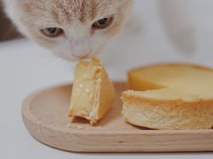-老梦面包 CHEZMOREL(三源里店)