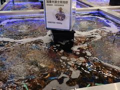 -盒马X会员店(上海森兰商都店)
