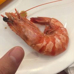 -华东饭店·园林式婚礼宴会厅酒店