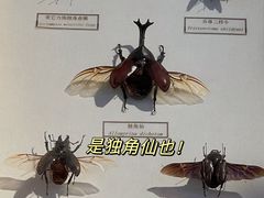 -浙江自然博物院(杭州馆)