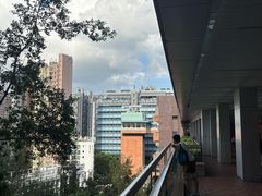 -香港大学