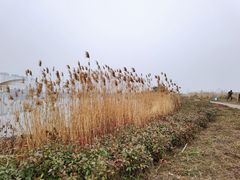 -澹台湖公园