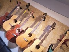 -艺桉余音琴行(火神庙分店)