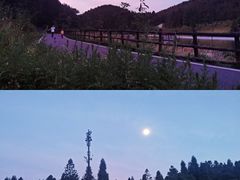 -武陵山森林公园