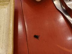 -蘭番坊青海特色铜锅涮·清真