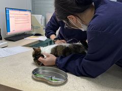 -莘程宠物医院(金山店)