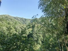 -王顺山国家森林公园