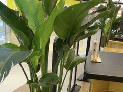 -一善菌·云南菌汤·云南菜(银泰城店)