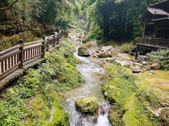 -三峡人家风景区