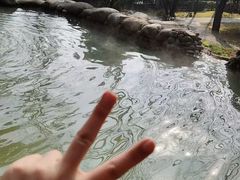 -三江森林温泉度假区