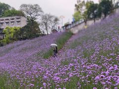 -石井坡(地铁站)