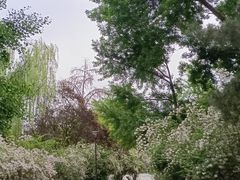 -元大都城垣遗址公园