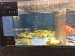 水产区-徐记海鲜(大雁塔|金都店)