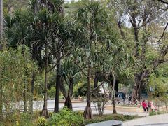 -晓港公园