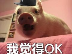 -潮中人·潮州菜(益乐路店)