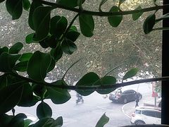 -肯德基(大成店)