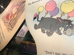 -小熊维尼历险之旅