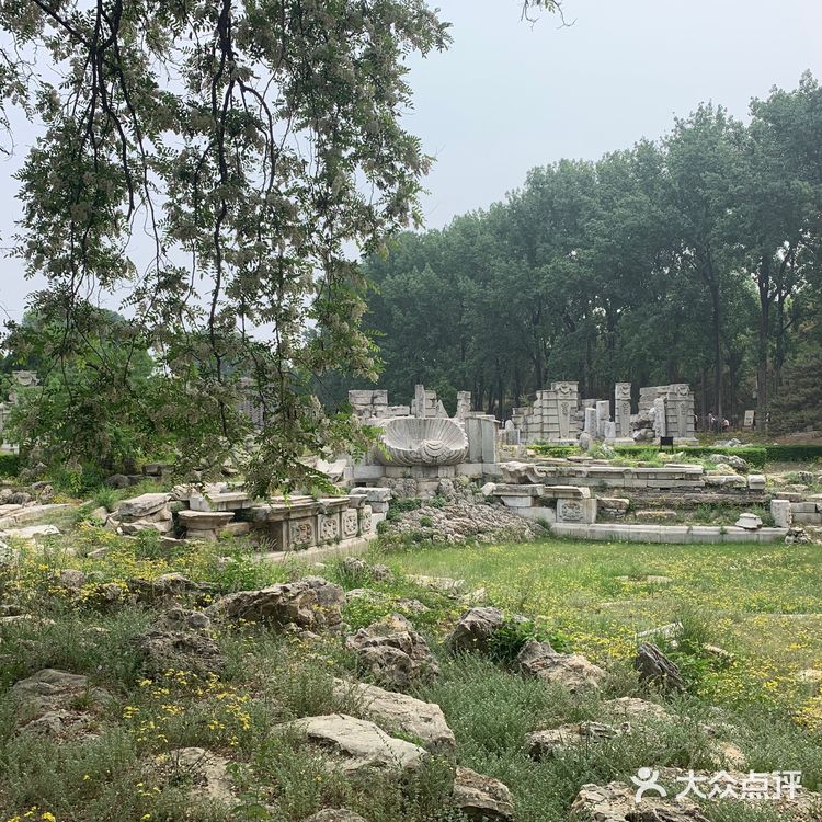 圆明圆-最美的后花园🥀🥀🥀