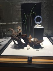 -北京七彩云南翡翠珠宝旗舰店(月坛店)