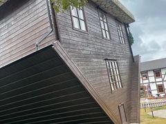 -金山农民画村-枫泾波兰倒置屋