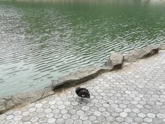 -广州市帽峰山景区