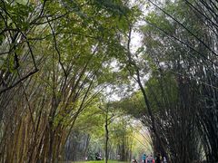 -晓港公园
