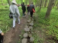 -黄海国家森林公园