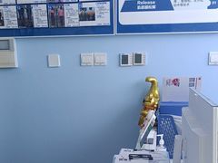 -体博士·疼痛调理·体态矫正·运动康复中心(大望路华贸店)