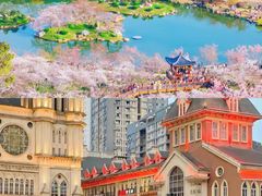 -黄鹤楼公园(黄鹤楼)