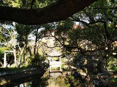-叶家花园