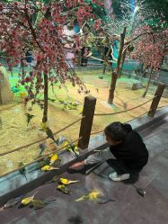 -酷嗒动物文化乐园(cutezoo西溪乐天城店)