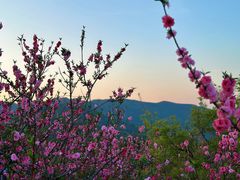 -北京西山国家森林公园