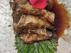 -老绍兴养和饭店(向阳不夜城店)