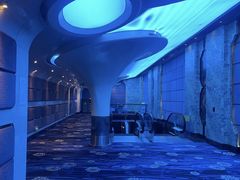 -飞扬影城(正佳IMAX店)