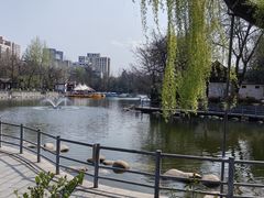 -莲湖公园