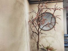 -小天鹅火锅·一线江景洪鼎旗舰店(洪崖洞店)
