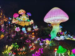 -国际非物质文化遗产博览园