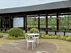 -杭州湾海上花田景区