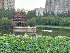 -青城公园