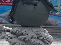 -广东惠东海龟国家级自然保护区