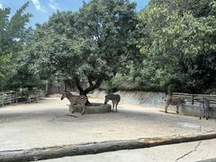 -泉州海丝野生动物世界