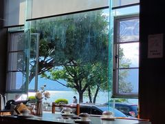 -野菌皇海景野生菌火锅(滨海大道店)